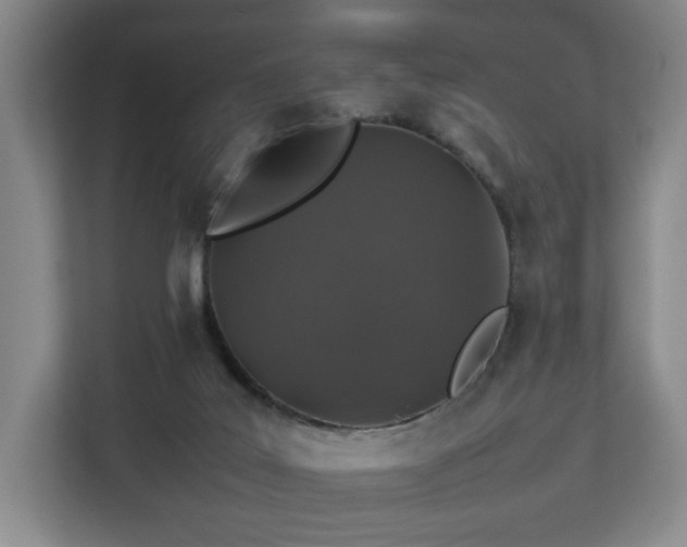 X0000112750019200908271551