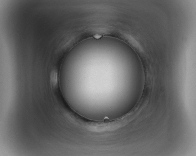 X0000112750021200908271551