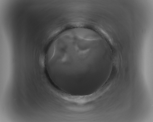 X0000112750023200908271551