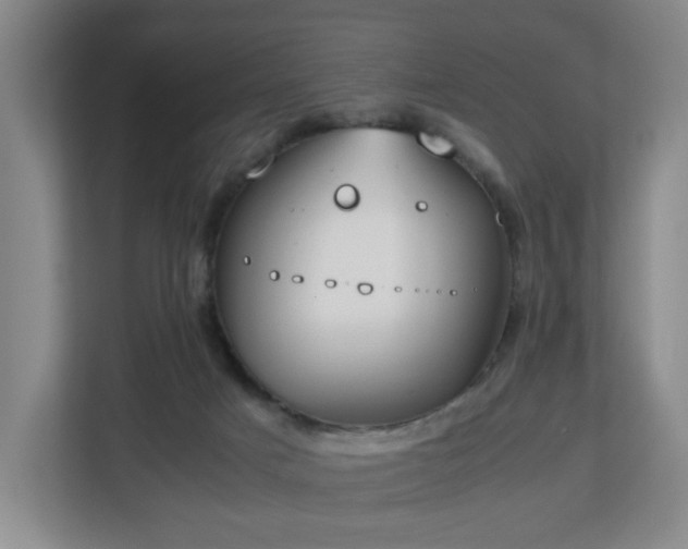 X0000112750025200908271551