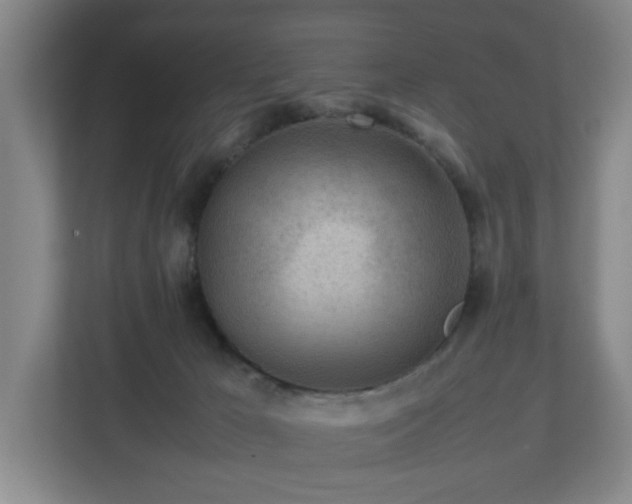 X0000112750029200908271551