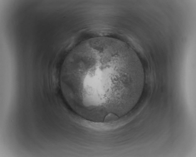 X0000112750030200908271551