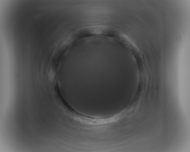 X0000112750031200908271551