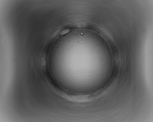 X0000112750032200908271551