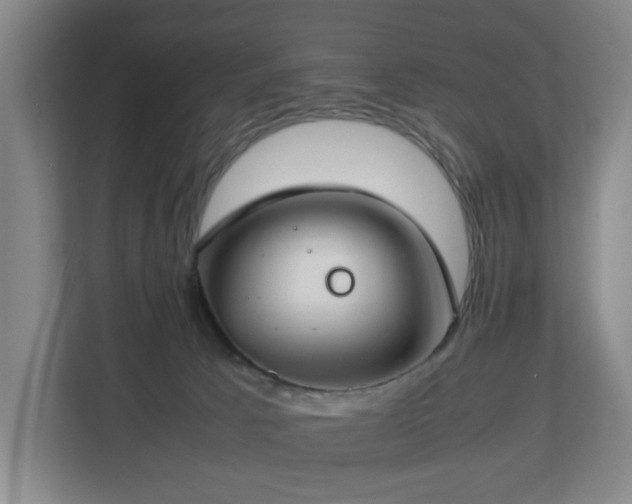 X0000112750033200908271551