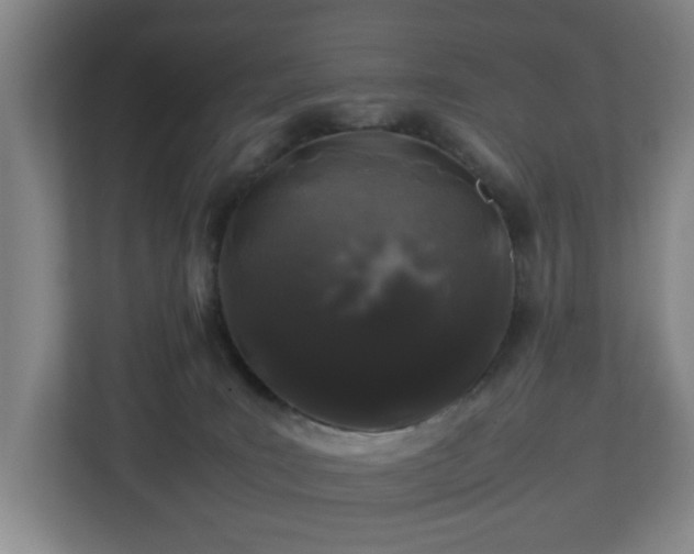 X0000112750035200908271551