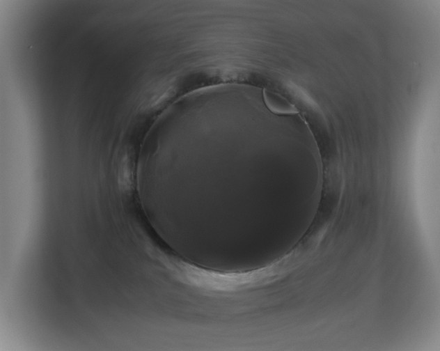 X0000112750039200908271551