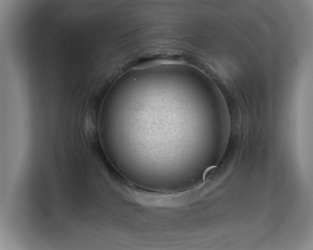 X0000112750040200908271551