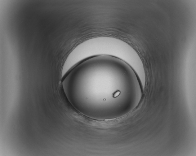 X0000112750041200908271551