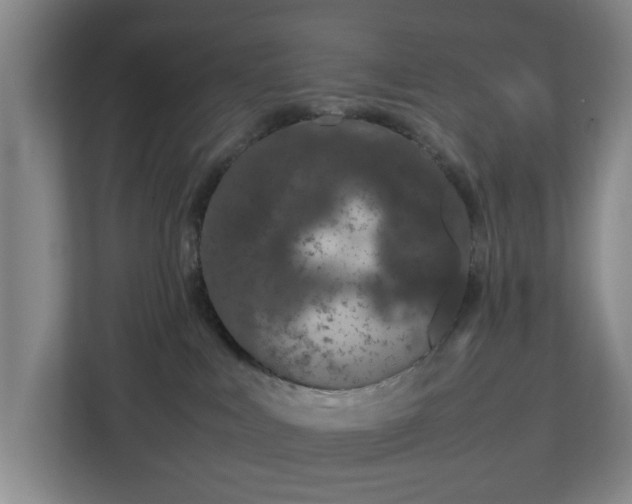 X0000112750043200908271551