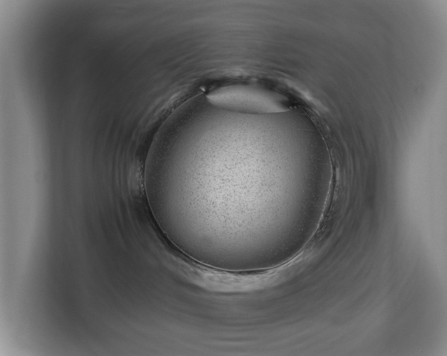 X0000112750048200908271551