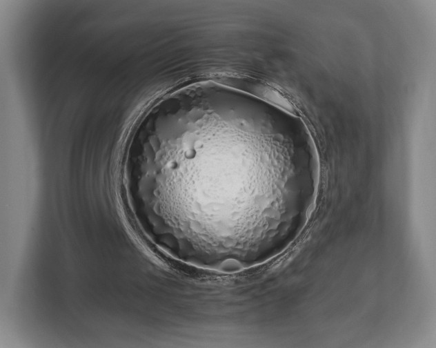 X0000112750049200908271550