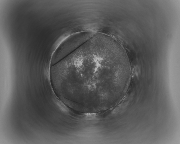 X0000112750052200908271550