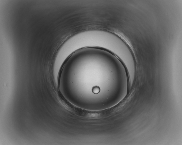 X0000112750057200908271550