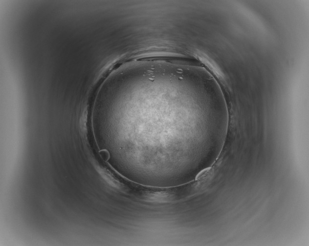 X0000112750058200908271550