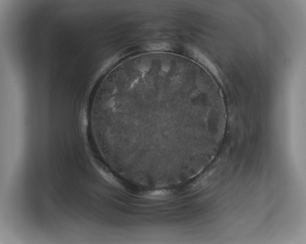 X0000112750059200908271550