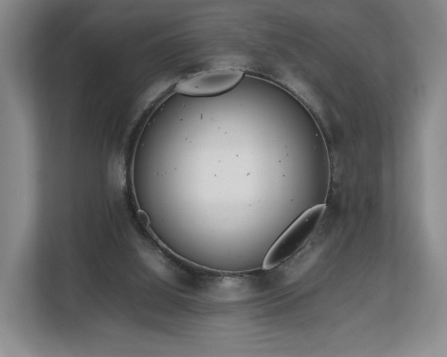 X0000112750060200908271550