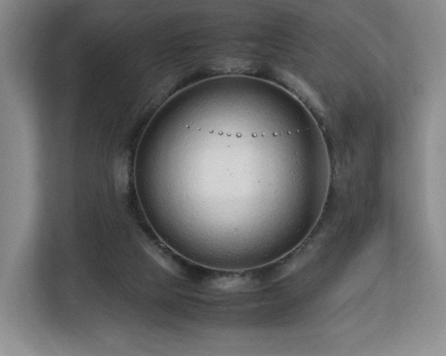 X0000112750065200908271550