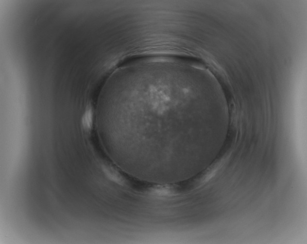 X0000112750076200908271550