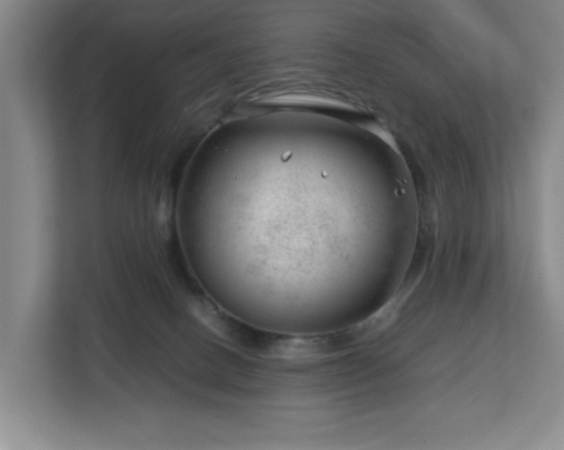 X0000112750082200908271550