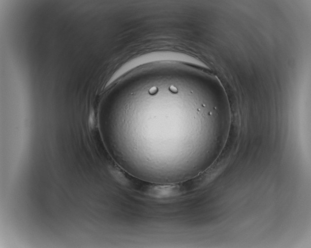 X0000112750089200908271551