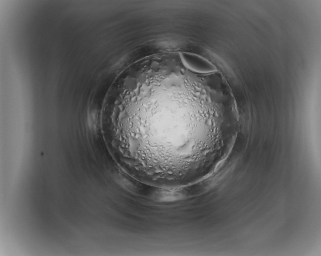 X0000112750093200908271551