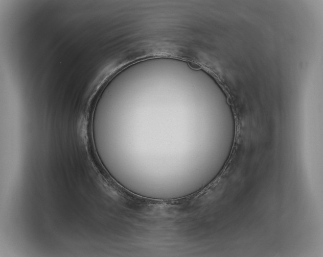 X0000112750098200908271550