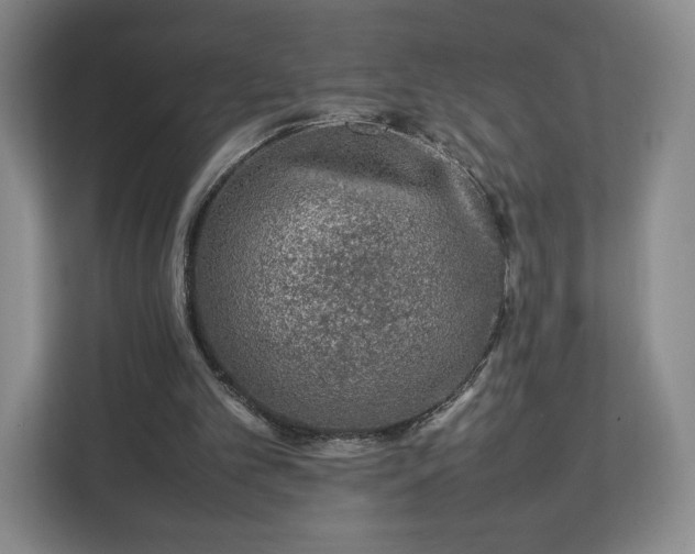 X0000112750101200908271550