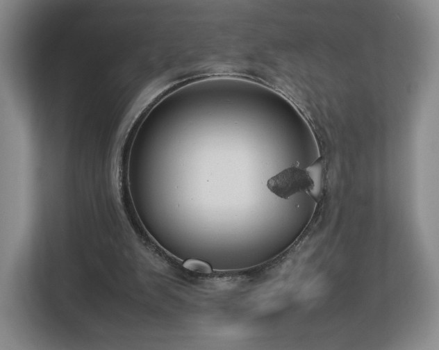 X0000112750103200908271550