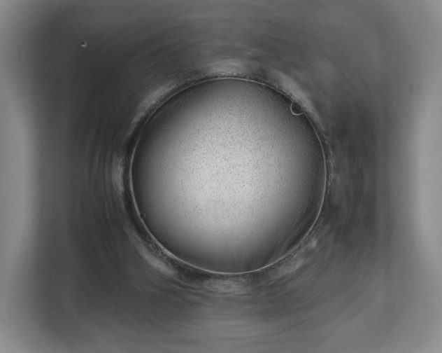 X0000112750106200908271550