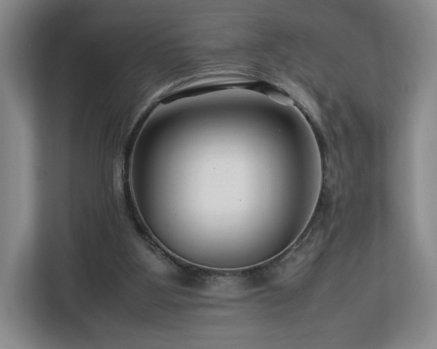 X0000112750107200908271550