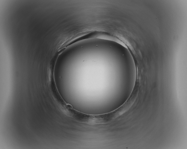 X0000112750109200908271550