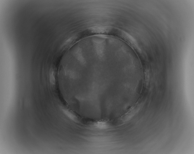 X0000112750114200908271550