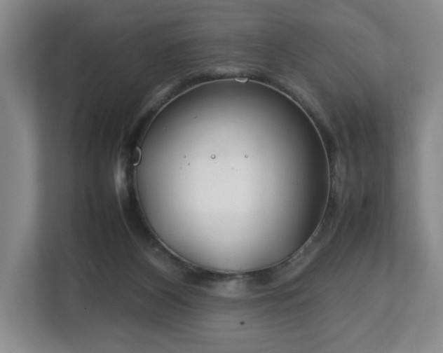 X0000112750116200908271550