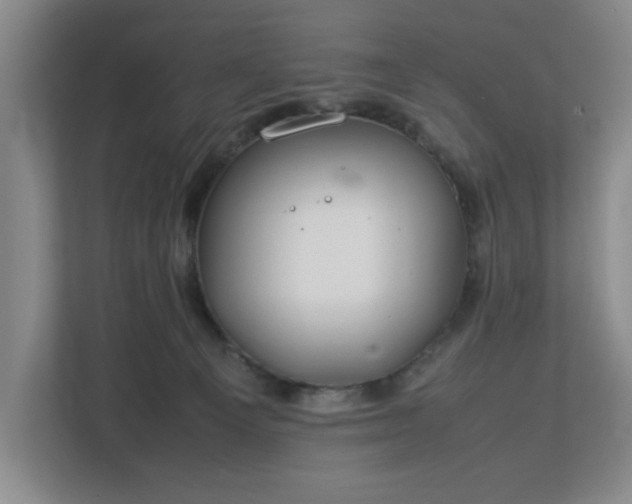 X0000112750129200908271550