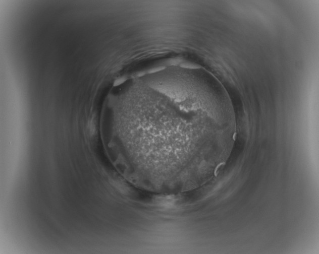 X0000112750131200908271550