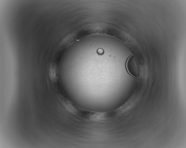 X0000112750138200908271549