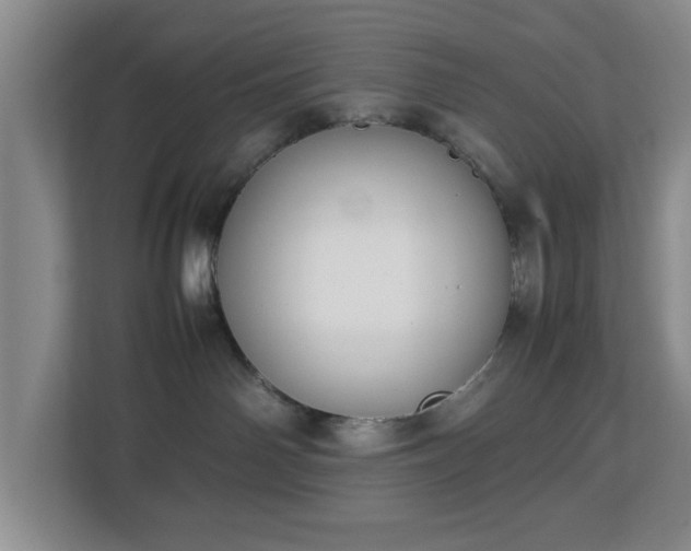 X0000112750142200908271549