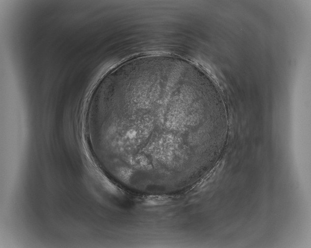 X0000112750145200908271549