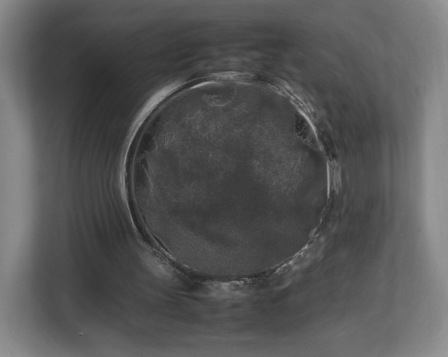 X0000112750147200908271549