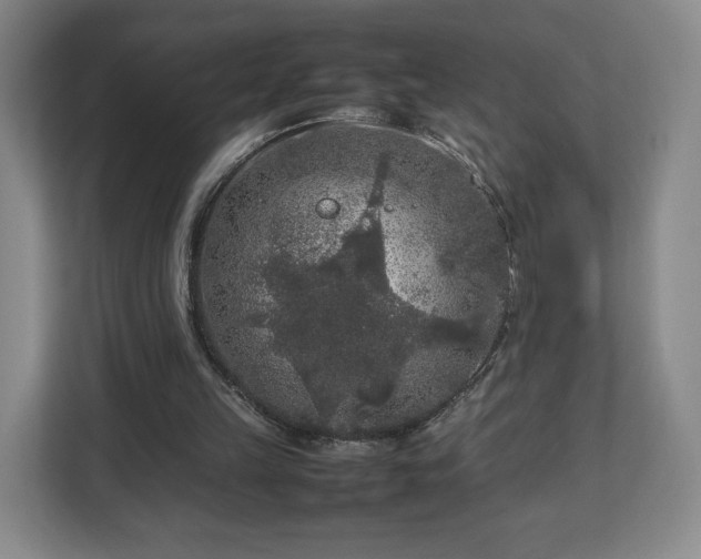 X0000112750149200908271549