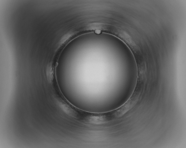 X0000112750160200908271549