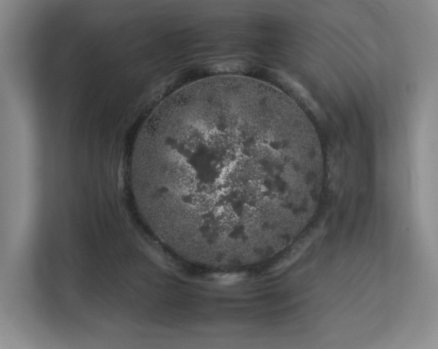 X0000112750161200908271549