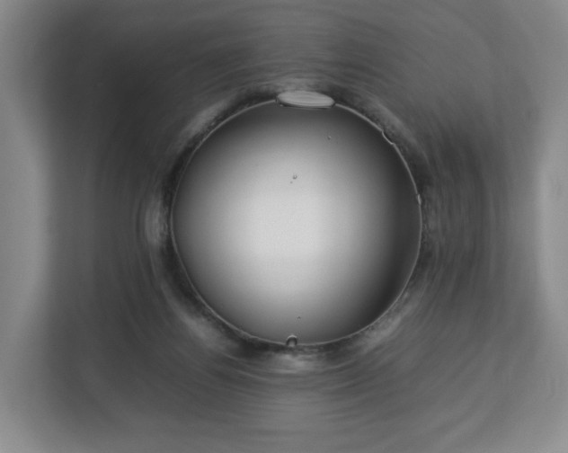 X0000112750164200908271549