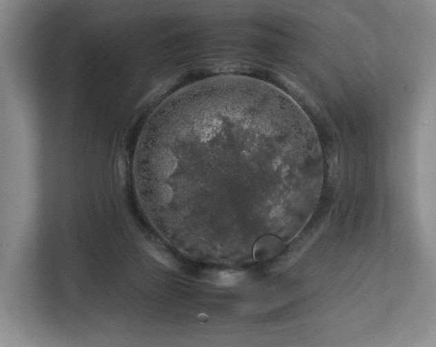 X0000112750165200908271549