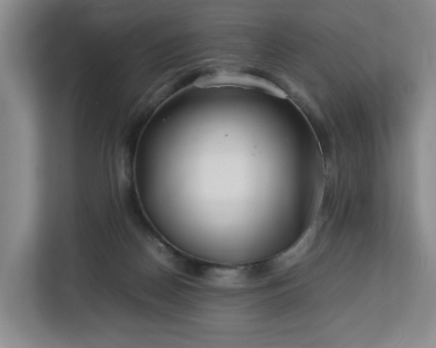 X0000112750170200908271549