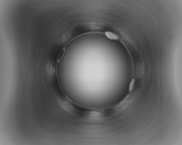 X0000112750176200908271549