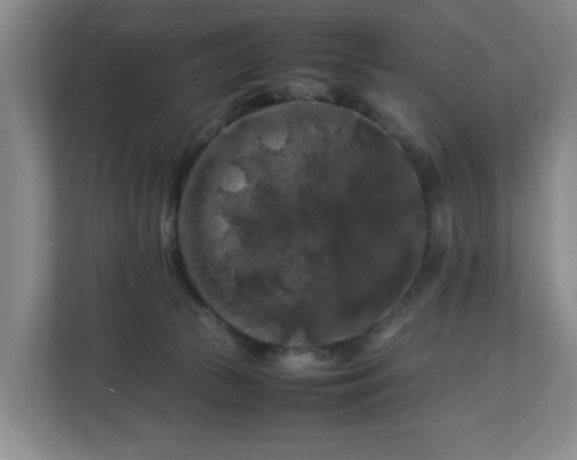 X0000112750177200908271549