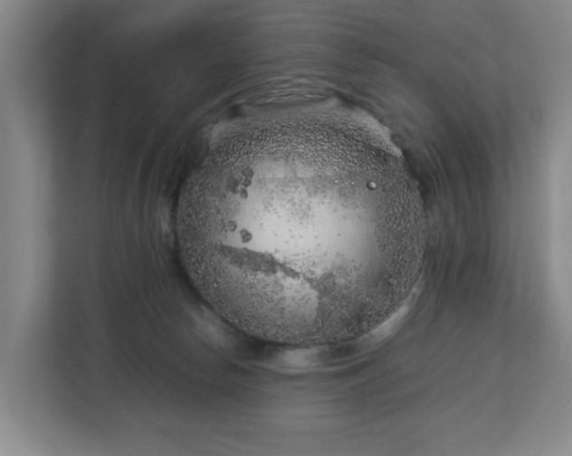 X0000112750178200908271549