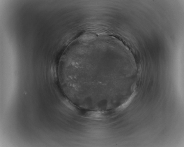 X0000112750182200908271549